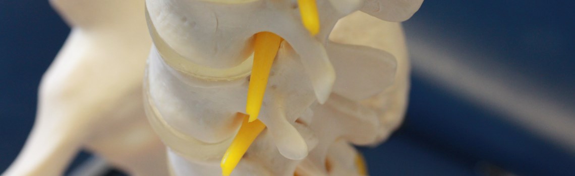 Spinal Adjustments